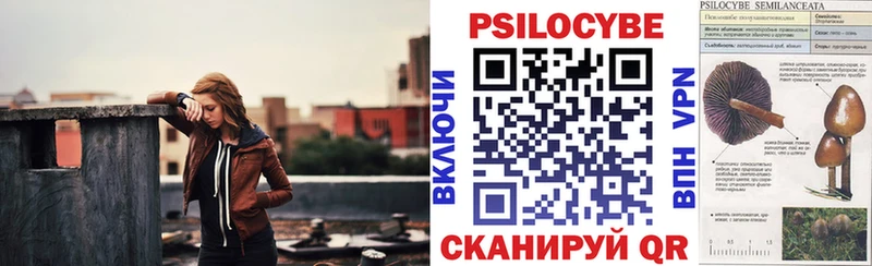 Галлюциногенные грибы Psilocybe  Купить где  Ленинградская 